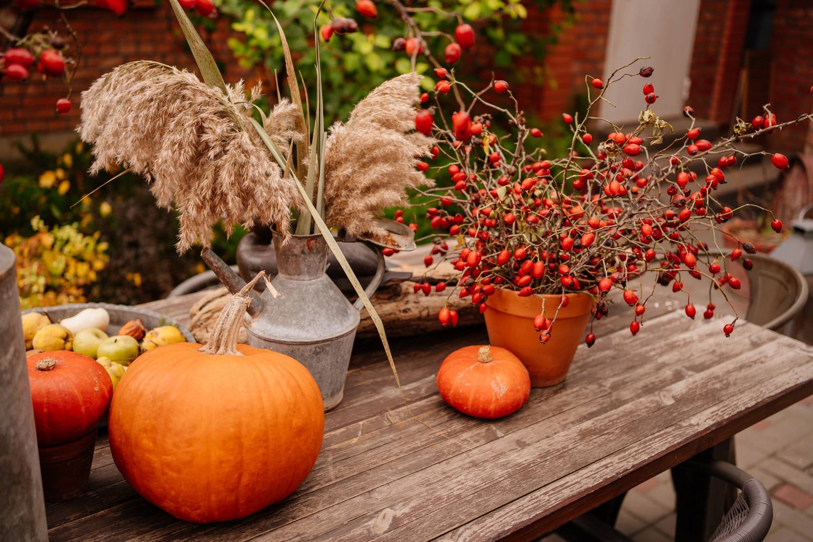 Kompostownik wypełniony roślinami