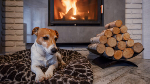 Ogrzewanie kominkowe vs. pelletowe: porównanie kosztów i efektywności